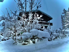 Гостиница Appartements Landhaus Waidmannsheil  Зеефельд